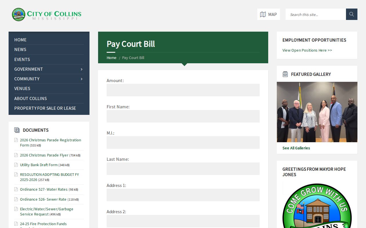 Collins court docket payment form fields